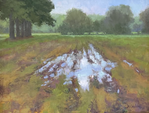 water logged